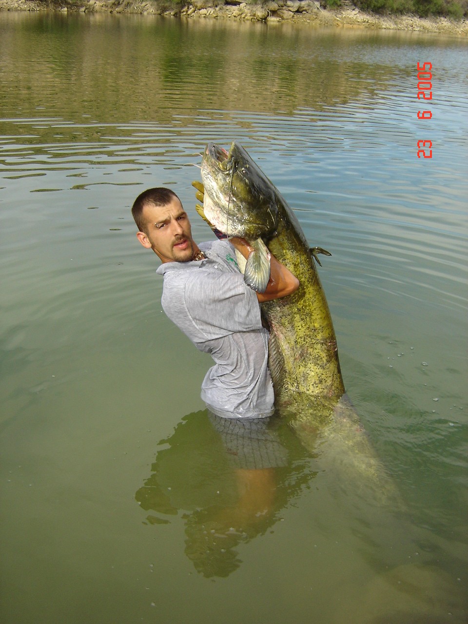 Sumec 4 - 180 cm, cca 35 kg. Španělsko - Ebro.